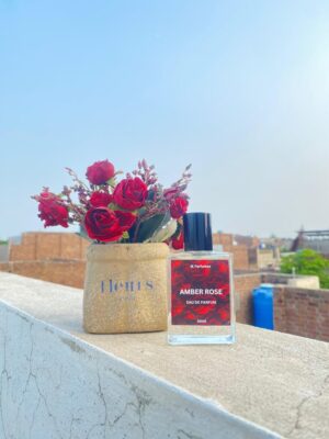 Amber rose male fragrance